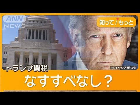 【国際】トランプ大統領「同盟国はいつか、同盟国ではなくなるかもしれない」発言で波紋　戦闘機売却「性能10％落とす」
